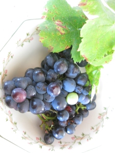Local Grapes